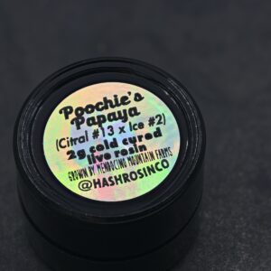 HRC T2 Poochies Papaya