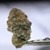 Purple Bubba Kush