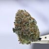 Purple Bubba Kush