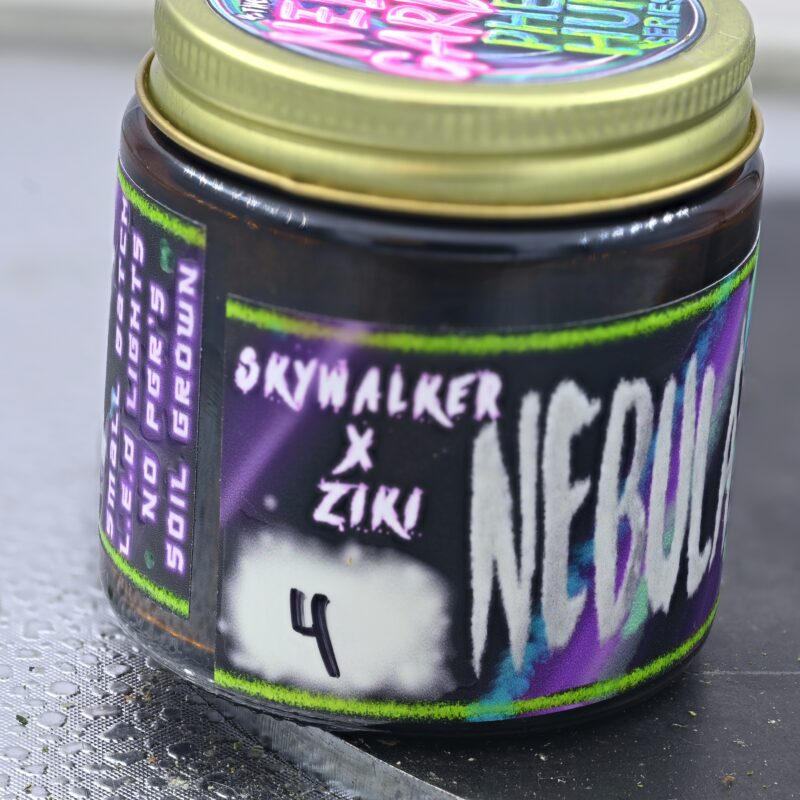 Nebula Gardenz Skywalker x Zkiki