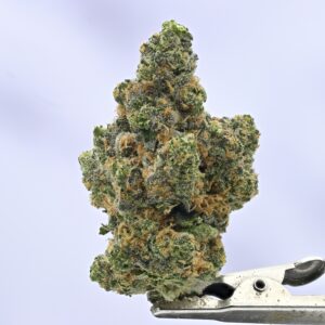 Seed Junky Wedding Cake x Lemon Tree