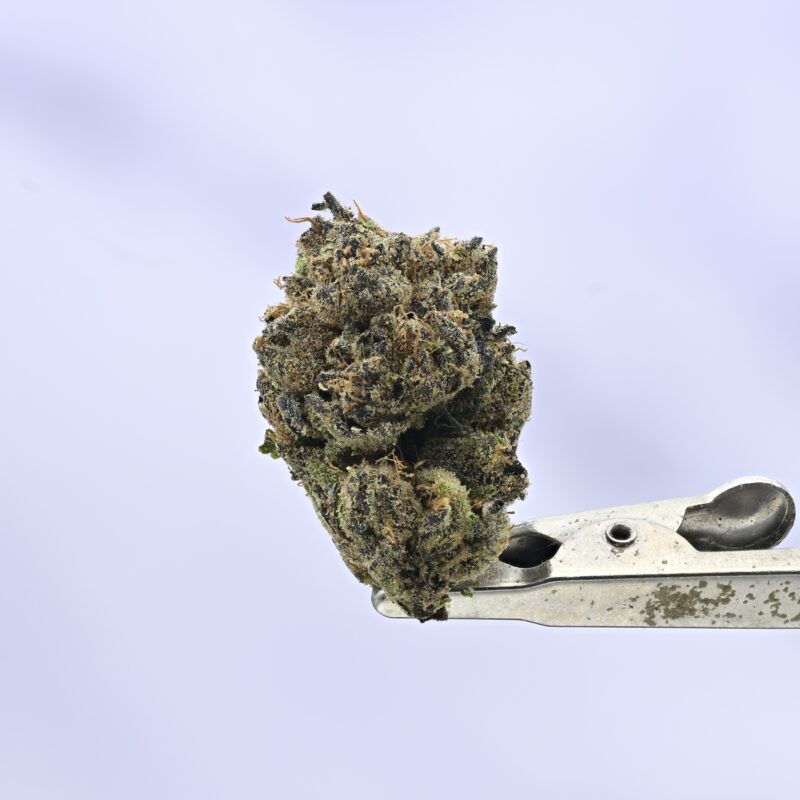 Seed Junky Zkittlez x Marker x Animal