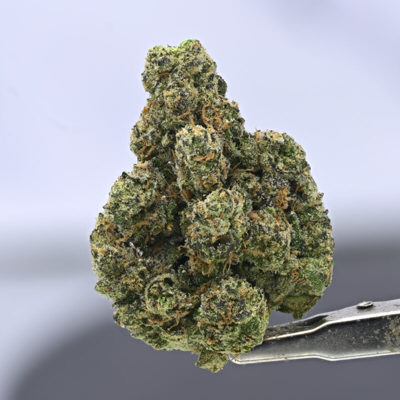 Zour Bubblez