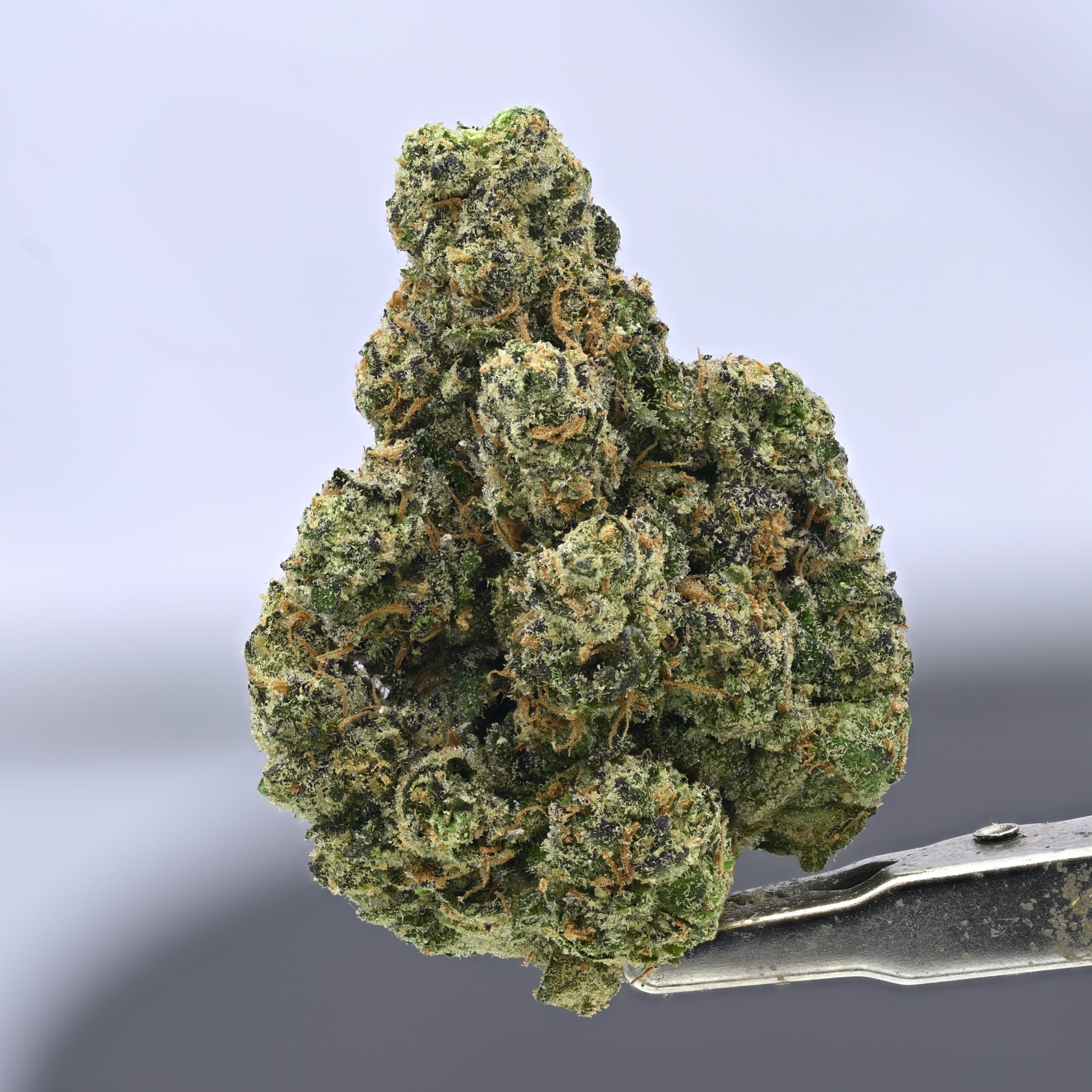 Zour Bubblez