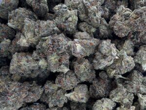 Alien Labs Planetary OG