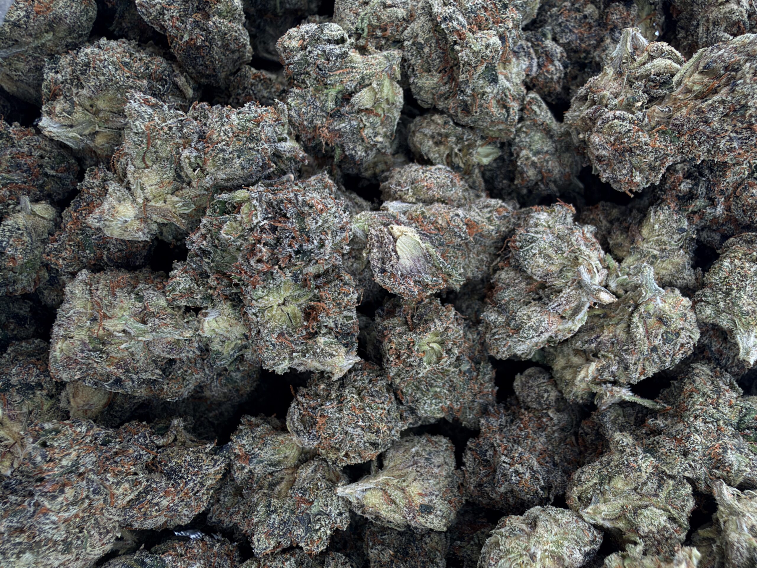 Alien Labs Planetary OG
