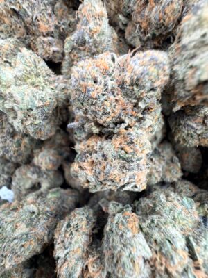 WoodWide GSC