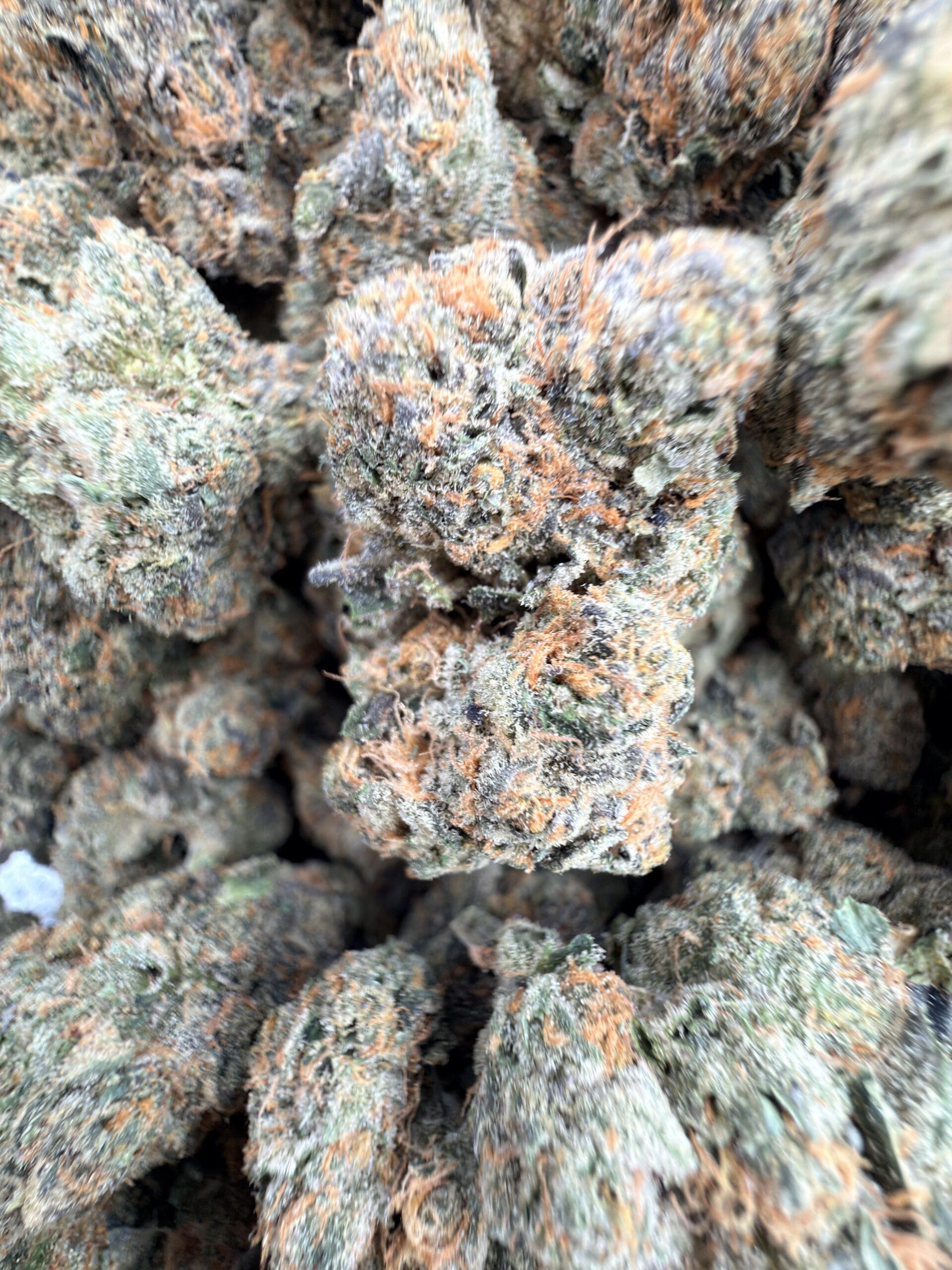 WoodWide GSC