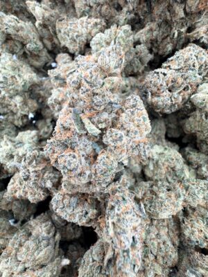 WoodWide Mendo Crumble