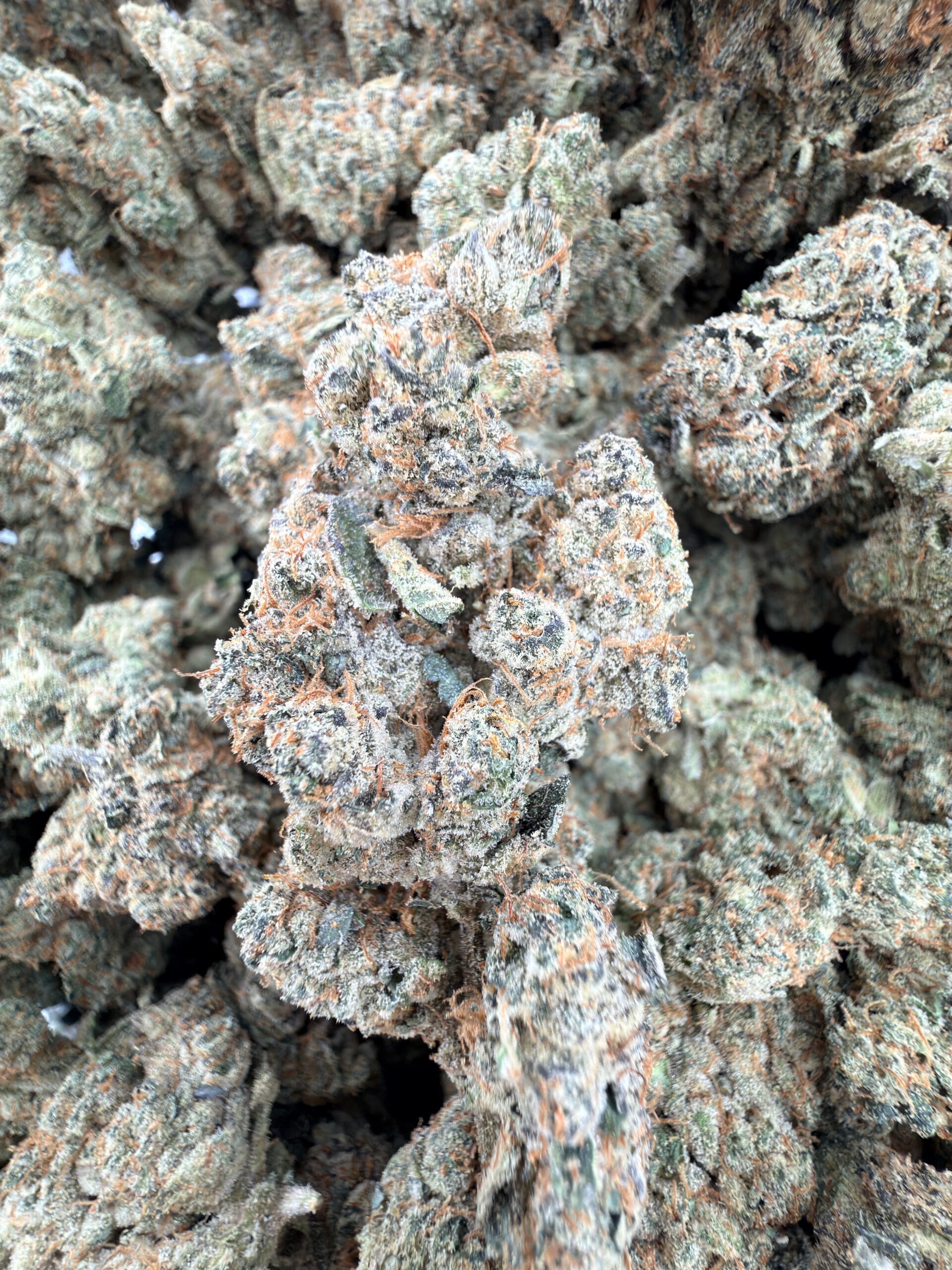 WoodWide Mendo Crumble
