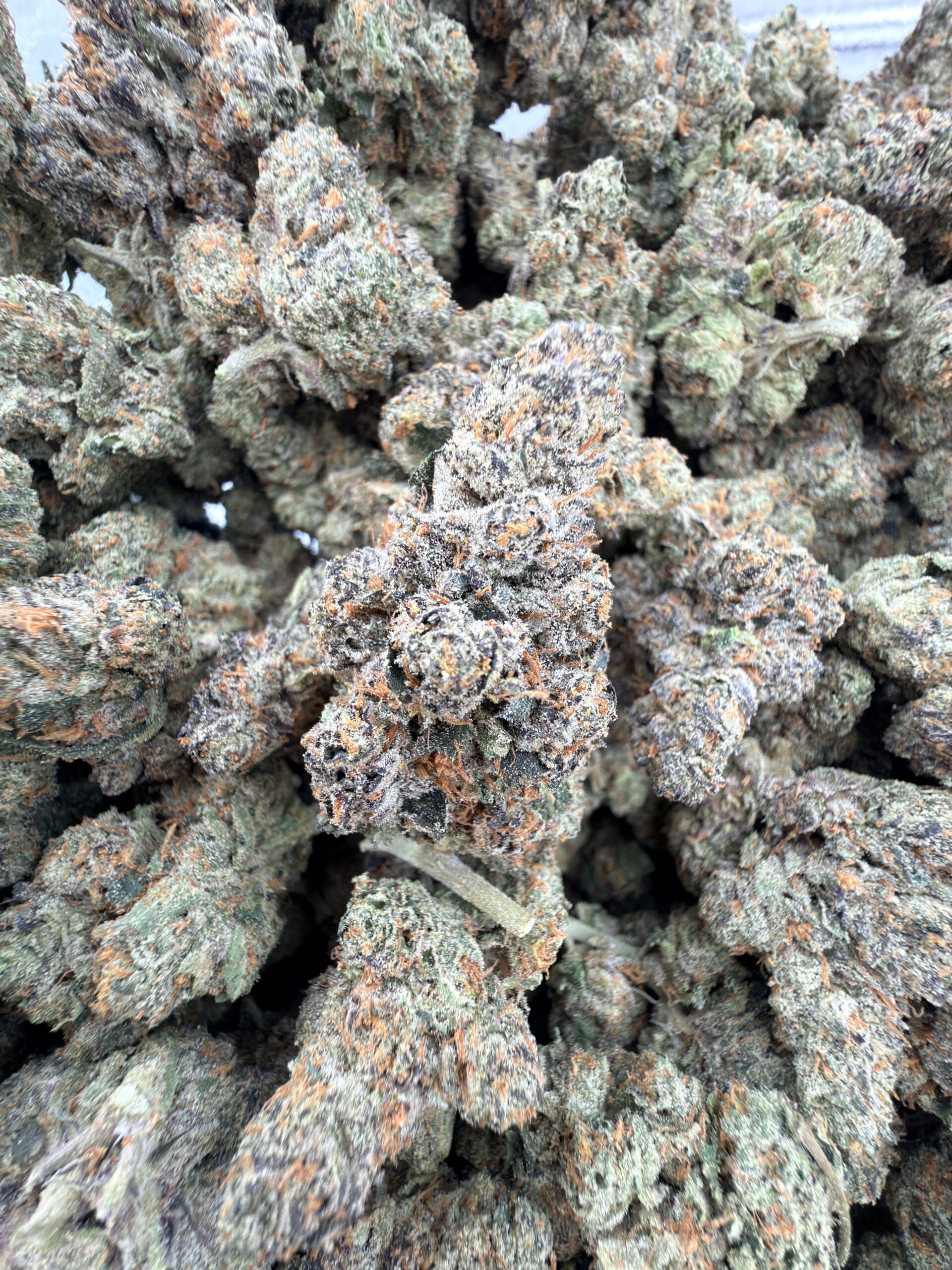 WoodWide Crunch Berries