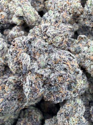 Angel City Farmers Red Hotz