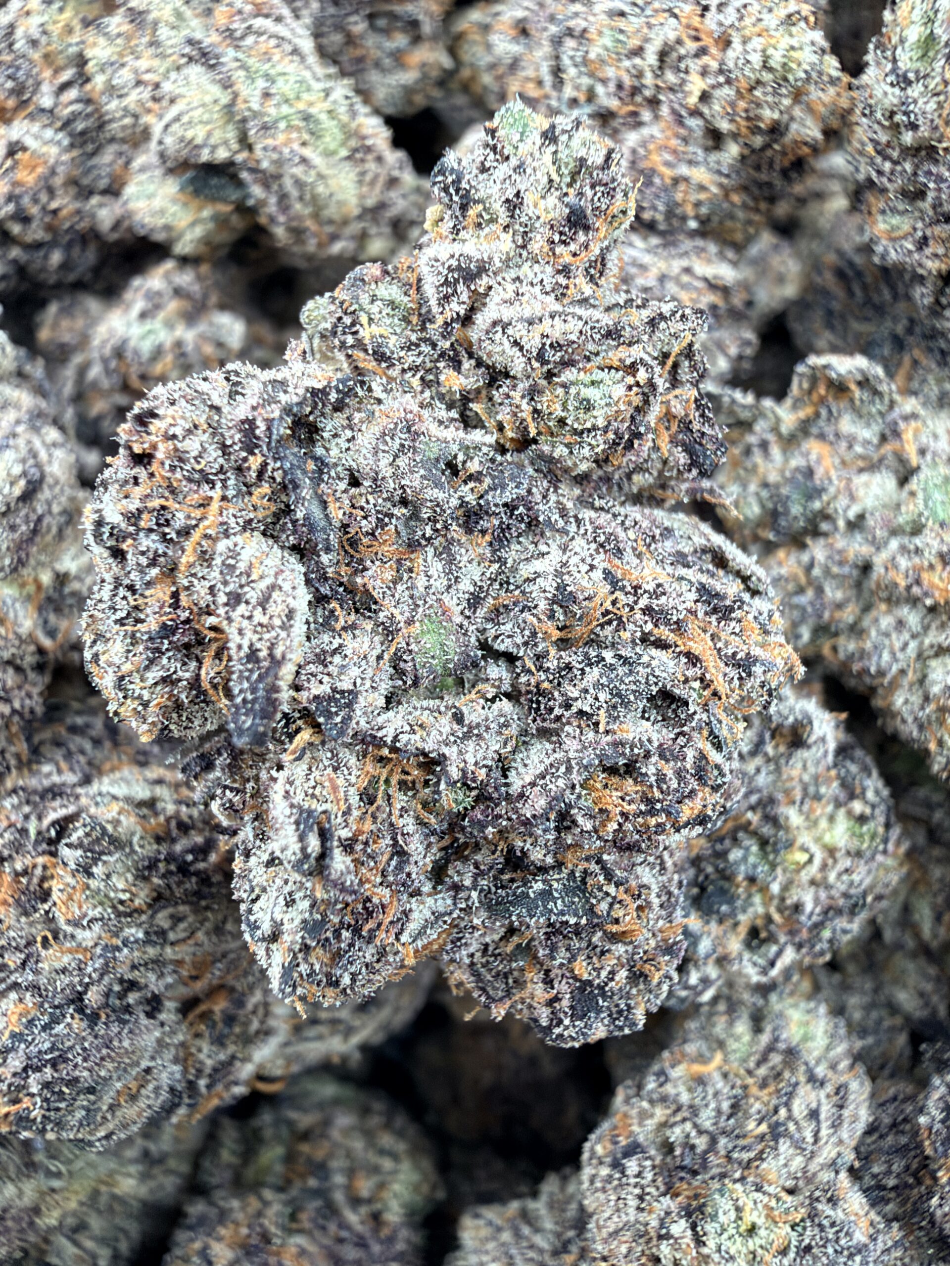 Angel City Farmers Red Hotz