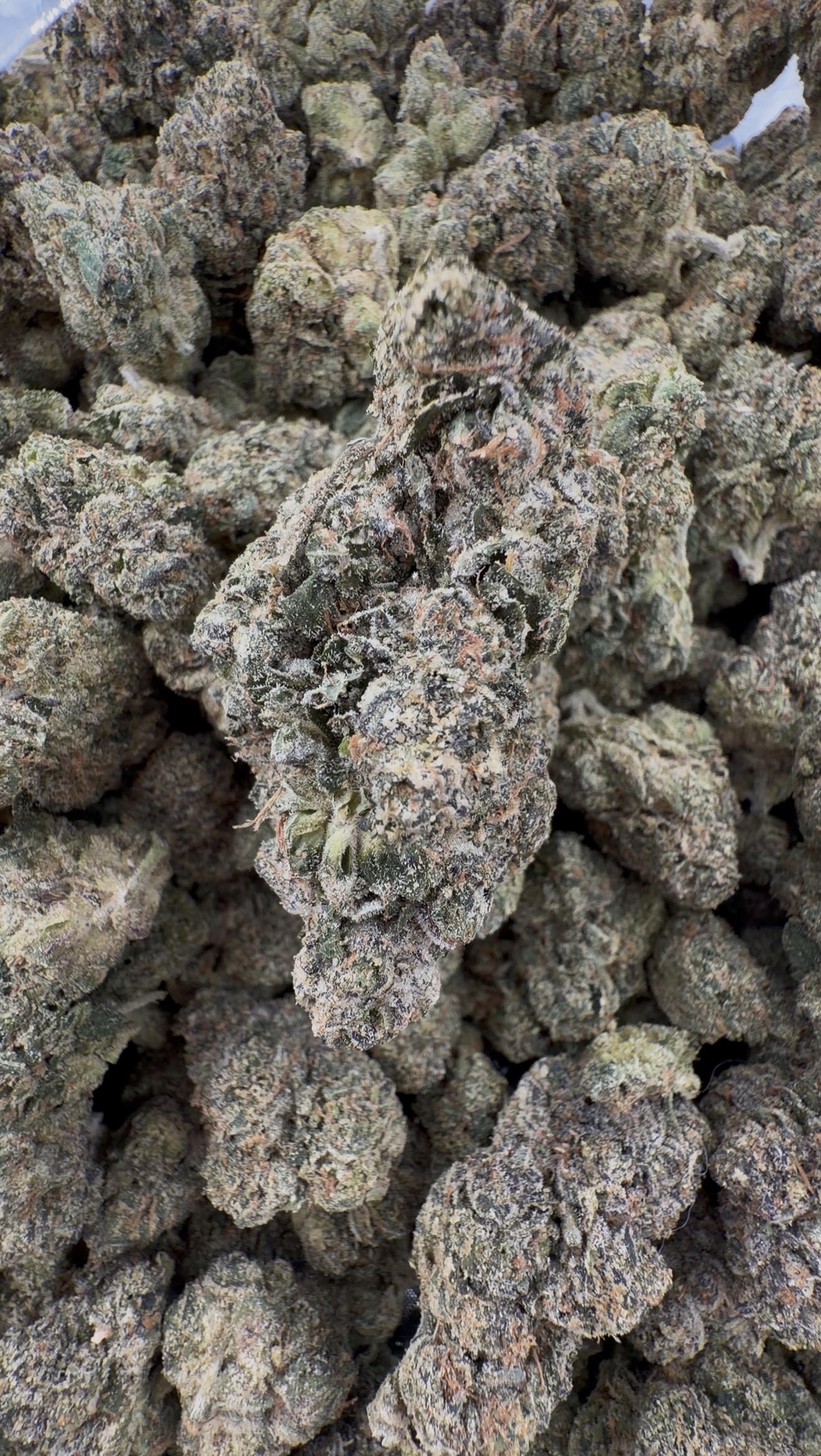 Seed Junky Toad Venom