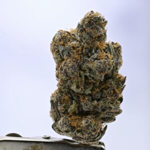 Angel City Farmers Crunch Berries