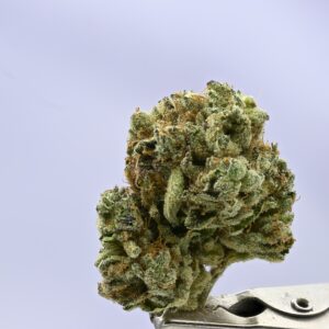 Stacked from 43 images. Method=C (S=9) Kush Co Iceberg Slim