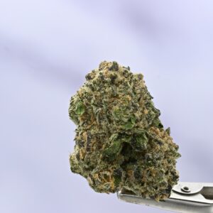 Stacked from 36 images. Method=C (S=9) Seed Junky Malibu x GSC