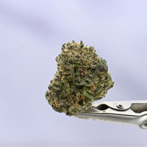 Stacked from 24 images. Method=C (S=9) Seed Junky Malibu x GSC