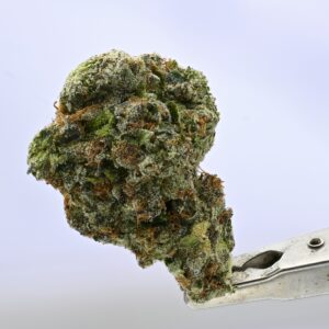 Stacked from 41 images. Method=C (S=9) Alien Labs Planetary OG