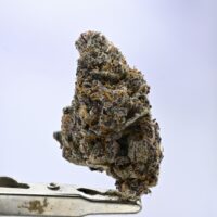 Angel City Farmers Red Hotz