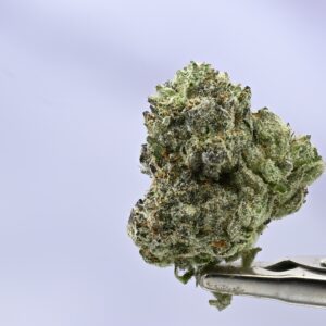 Kush Co Sour Power OG
