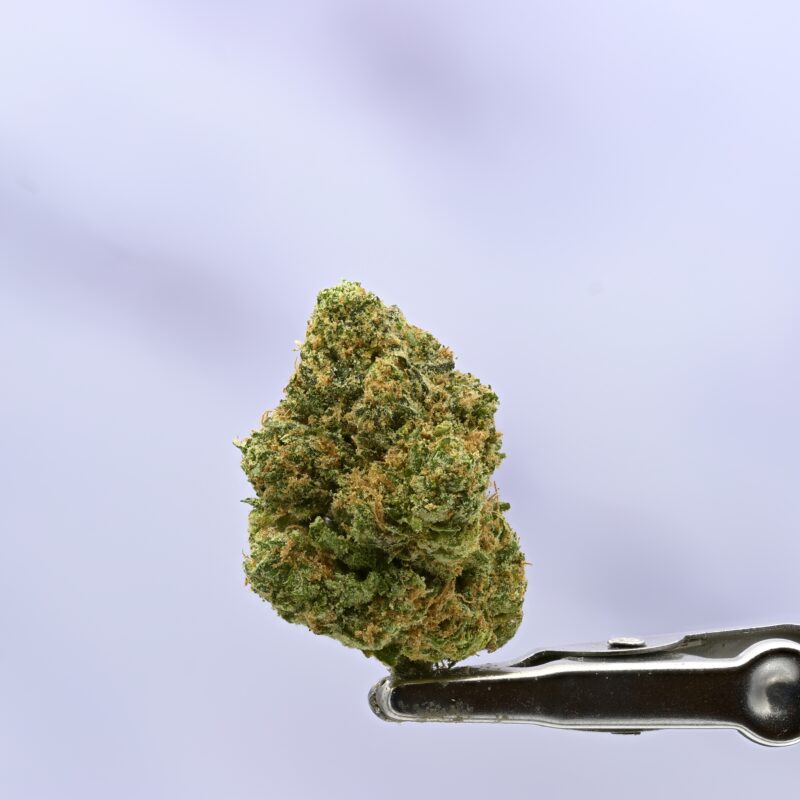 Seed Junky Zkittlez