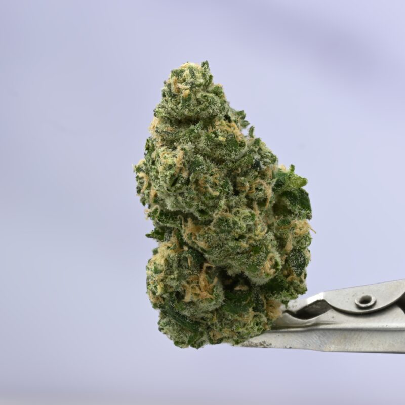Seed Junky Blue Zushi x LCG