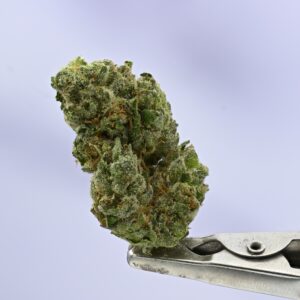 Yacht Club Nautical 7G Jar