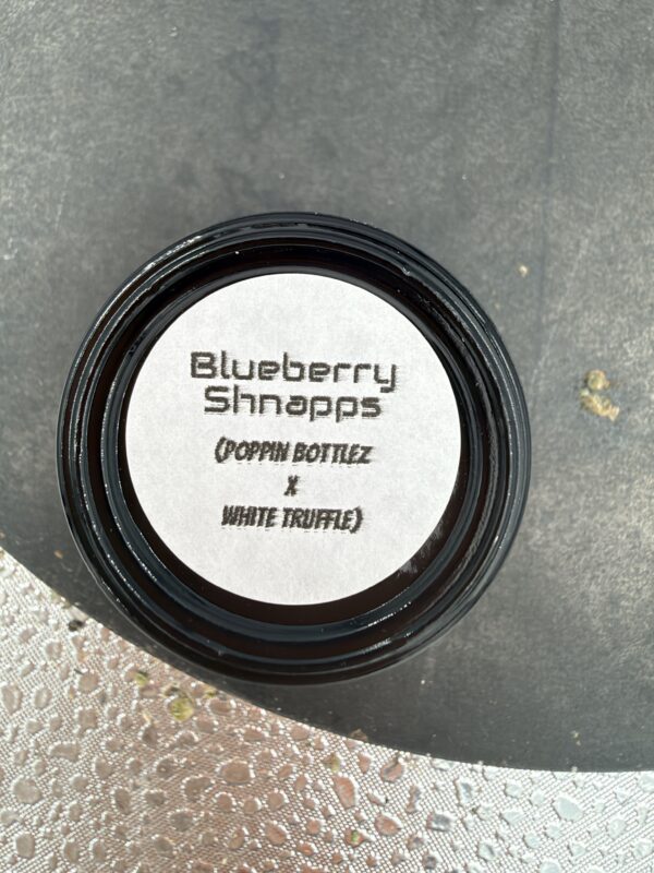 HCS Blueberry Shnapps 2G Jar
