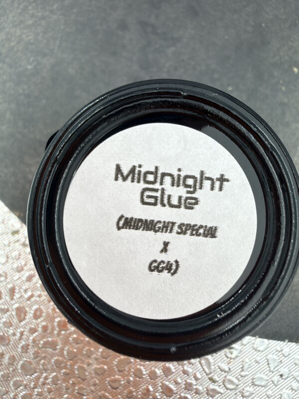 HCS Midnight Glue 2G Jar