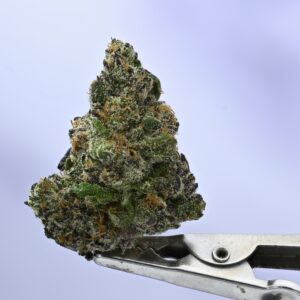 Seed Junky – B6