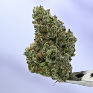 Stacked from 42 images. Method=C (S=9) Seed Junky – GP x Animal Cookies
