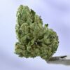 Stacked from 41 images. Method=C (S=9) Seed Junky – GP x Animal Cookies