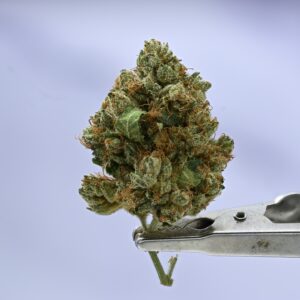 Kush Co OG